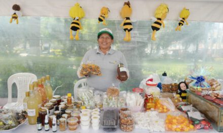 Tierra Viva Expo Fair in Nayón