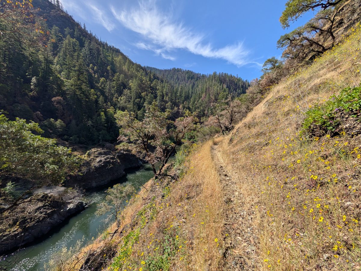 The Rogue River, a dark green ribbon, tucked in between a rocky slope covered in madrone and a grassy slope speckled with tarweed.