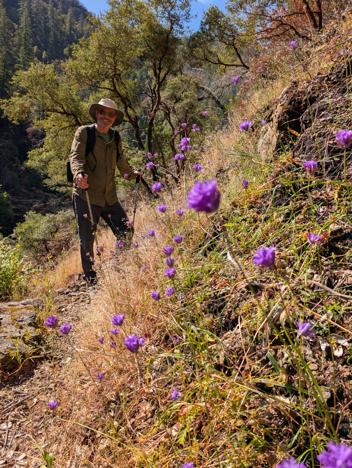 Scott on a drier portion of the Lower Rogue River Trail where madrone cling to the clif and purple wildflowers bloom.