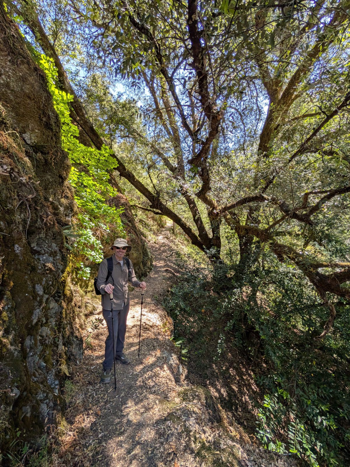 Scott with new hiking poles poses as he stands on the Lower Rogue River Trail beneath a tall madrone.
