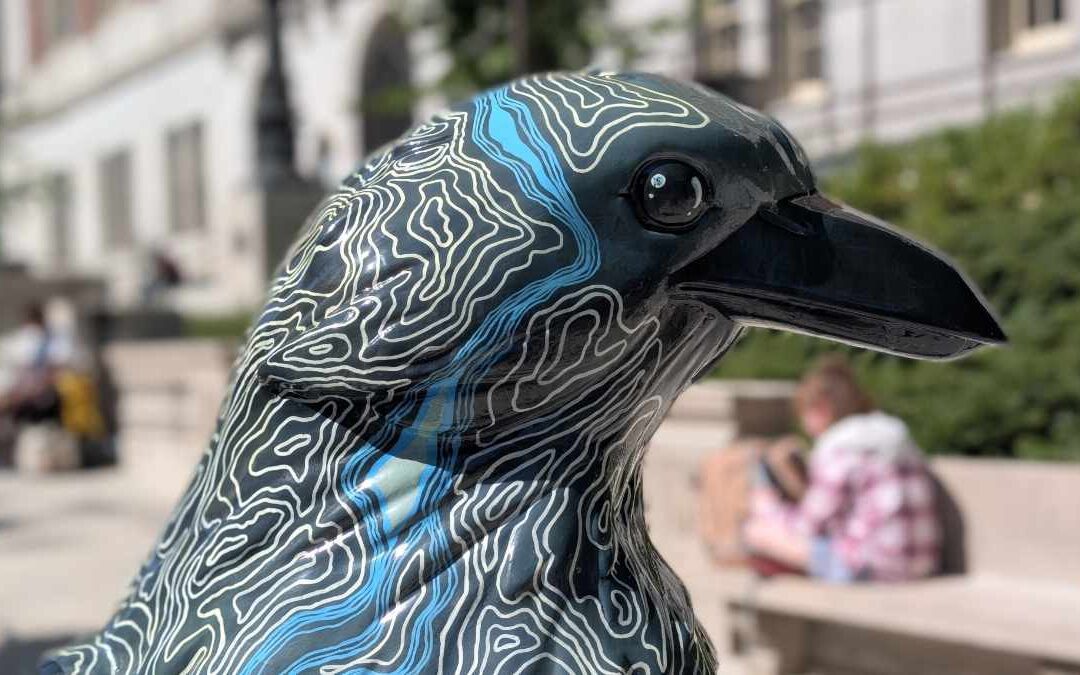 Follow the Crows: Birding a Different Trail in Portland