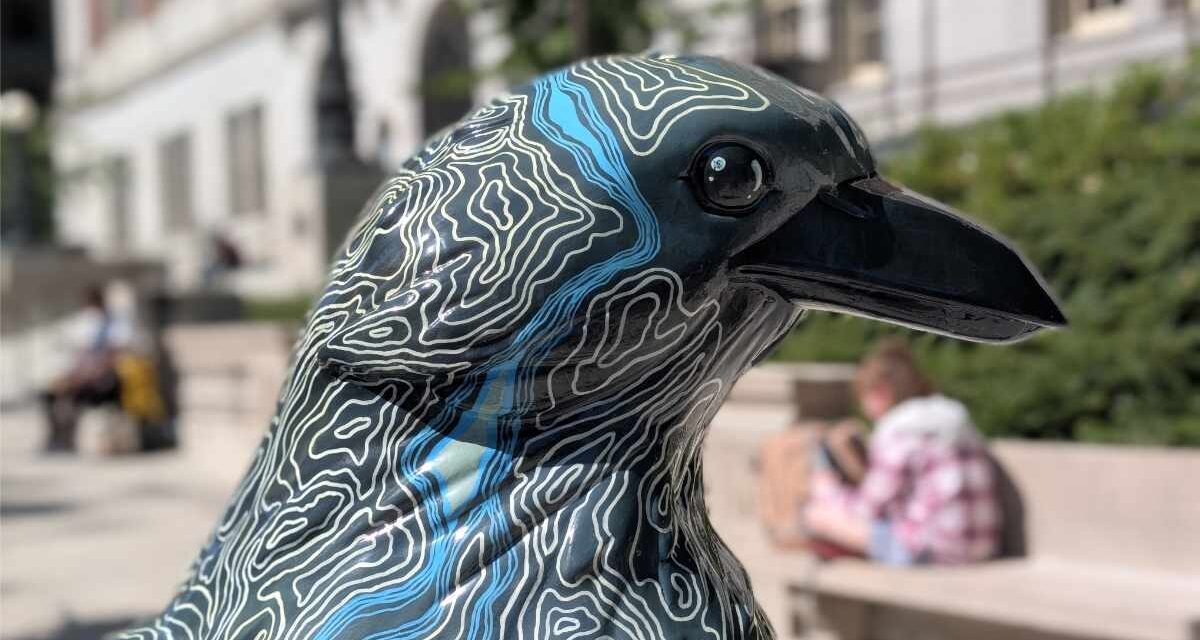 Follow the Crows: Birding a Different Trail in Portland
