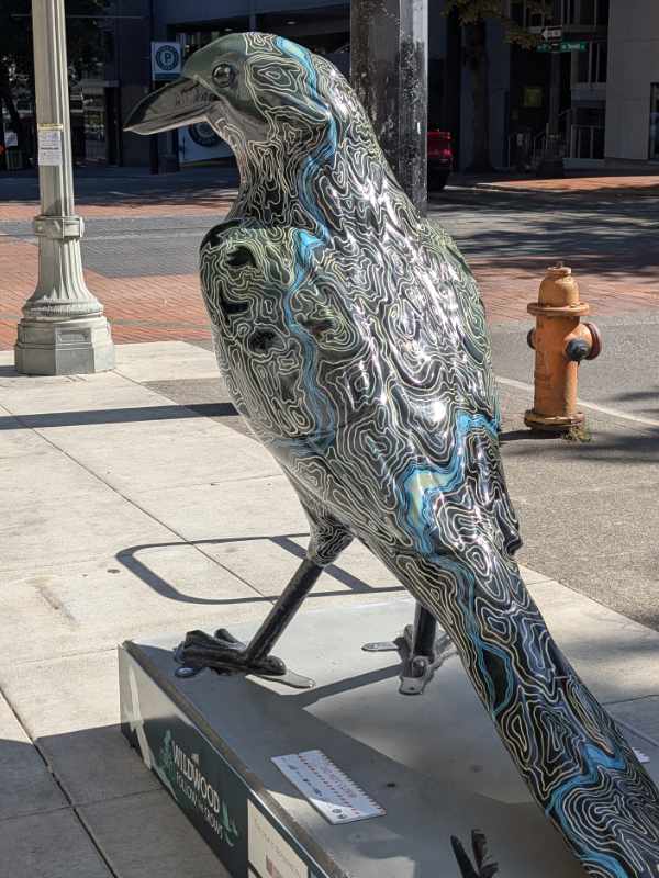 The back of As the Crow Flies might be mistaken for feathers from a distance but is actually a detailed topographical map.