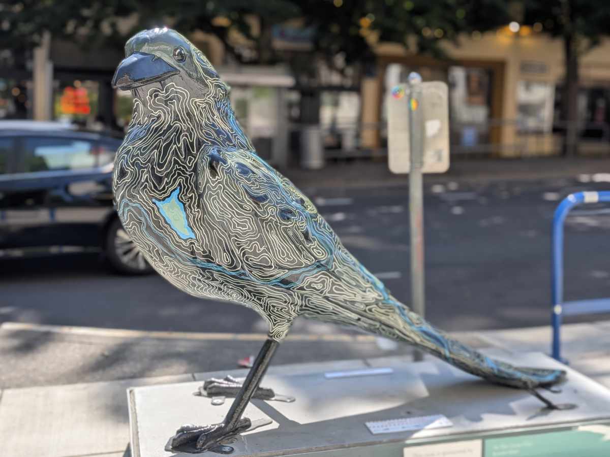 The artist uses the crow's three dimensional space to line out a topographical map in white on a black back ground with blue details for rivers and lakes.