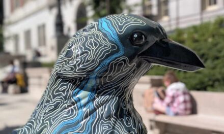 Follow the Crows: Birding a Different Trail in Portland