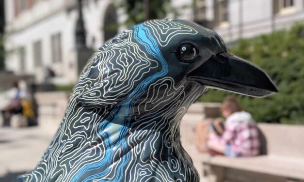 Follow the Crows: Birding a Different Trail in Portland