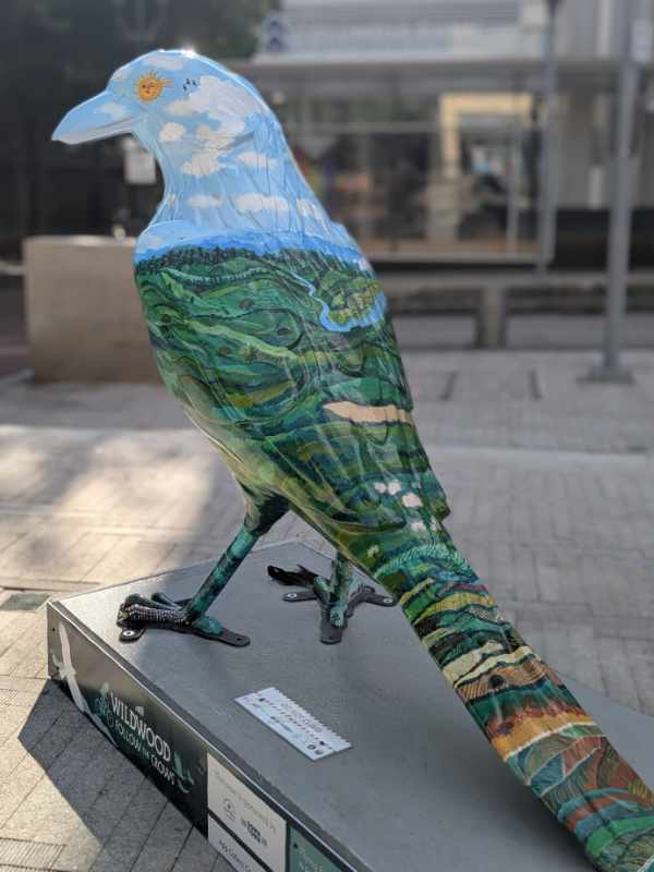 The reverse side of the Flying Fields Forever crow shows the upper half in sky blue and white puffy clouds, the lower half  is layers of forests, hills, ravines, and river valley. 