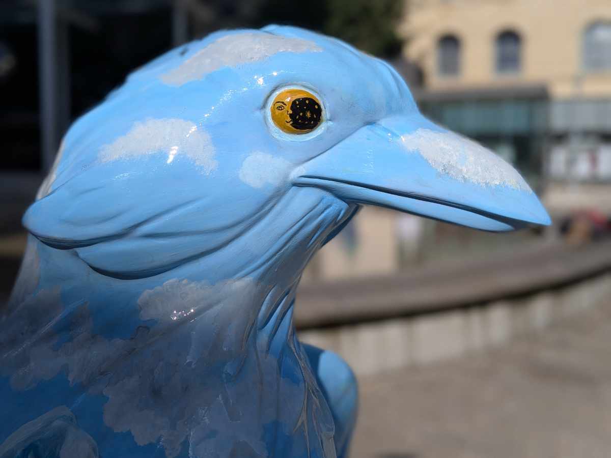 Head and shoulder shot of the crow sculpture, Flying Fields Forever, highlighting its sky blue body and beak and intricate Moon and Stars eye.