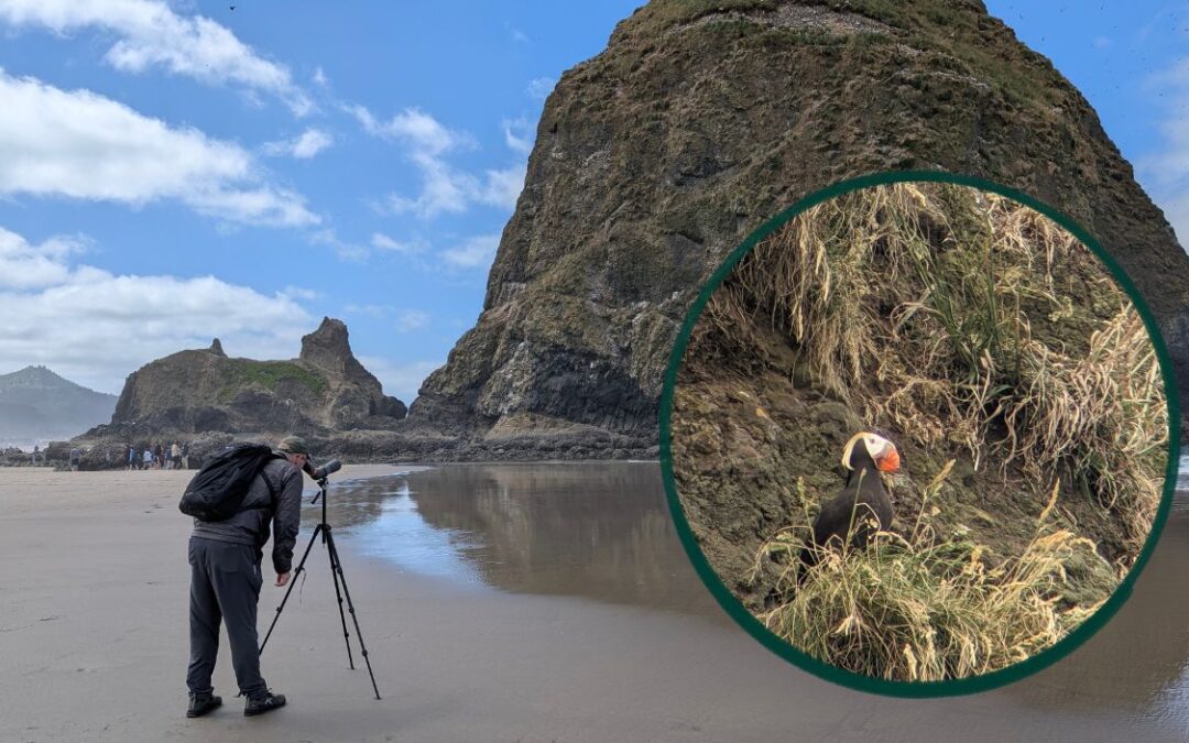 Does a Casual Birder Need a Spotting Scope?