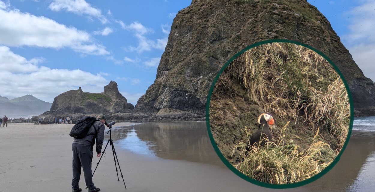 Does a Casual Birder Need a Spotting Scope?