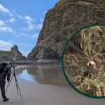 Does a Casual Birder Need a Spotting Scope?