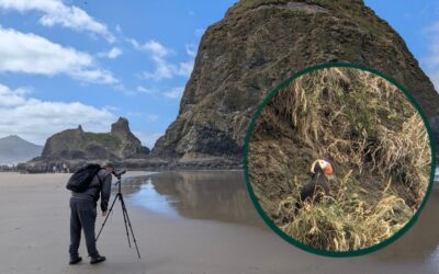 Does a Casual Birder Need a Spotting Scope?